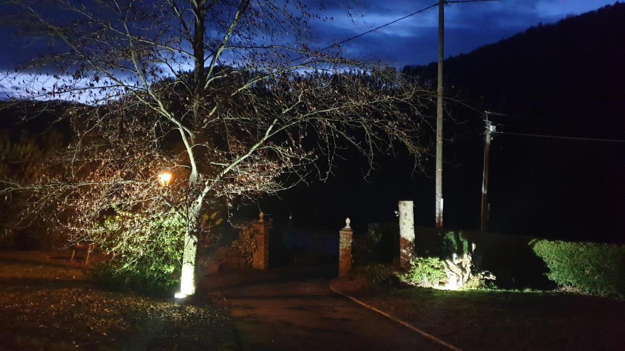 Le Wineck Villa Dambach Dış mekan fotoğraf