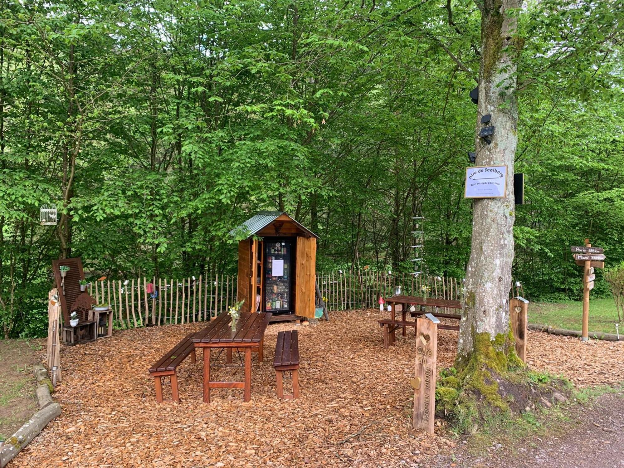 Le Wineck Villa Dambach Dış mekan fotoğraf