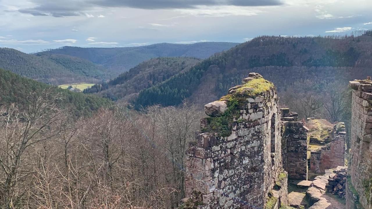 Le Wineck Villa Dambach Dış mekan fotoğraf