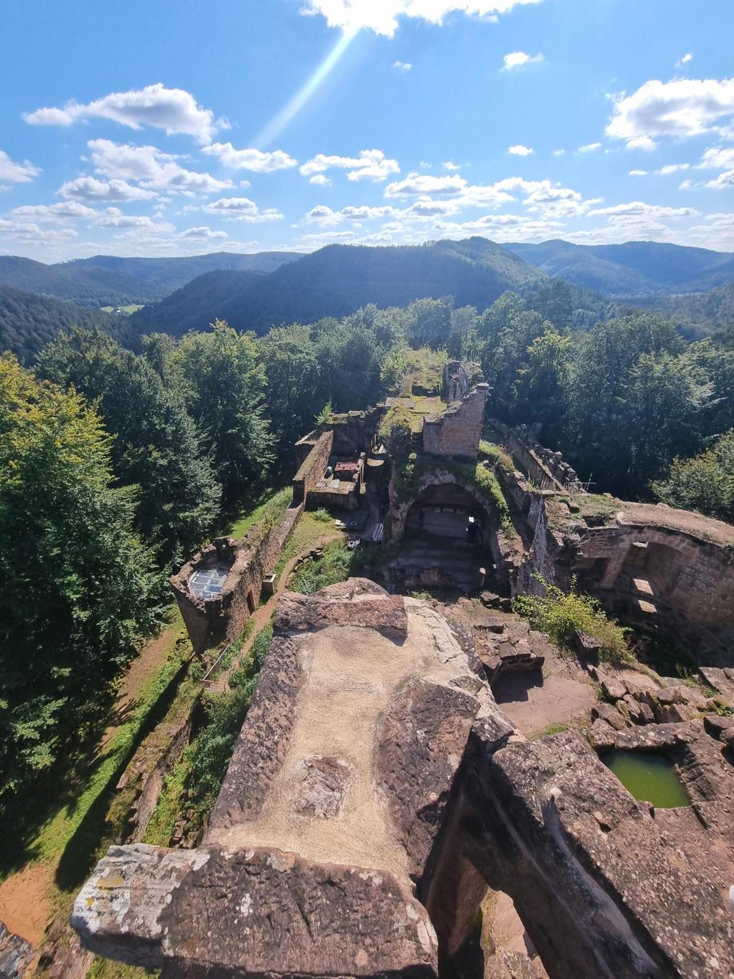 Le Wineck Villa Dambach Dış mekan fotoğraf