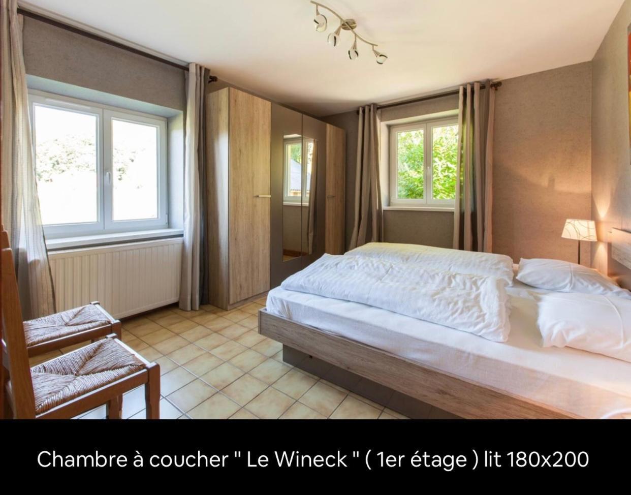 Le Wineck Villa Dambach Dış mekan fotoğraf