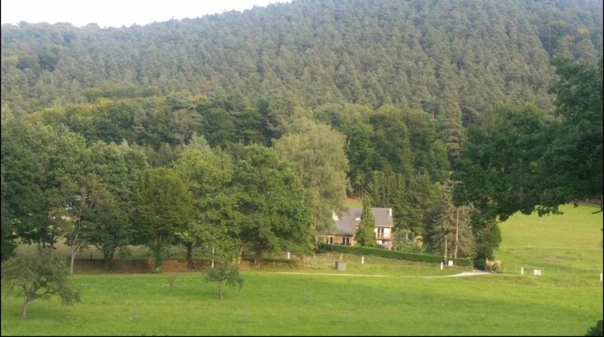Le Wineck Villa Dambach Dış mekan fotoğraf
