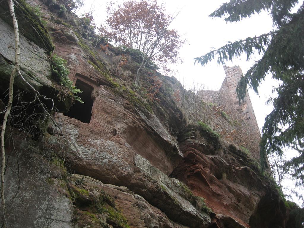 Le Wineck Villa Dambach Dış mekan fotoğraf