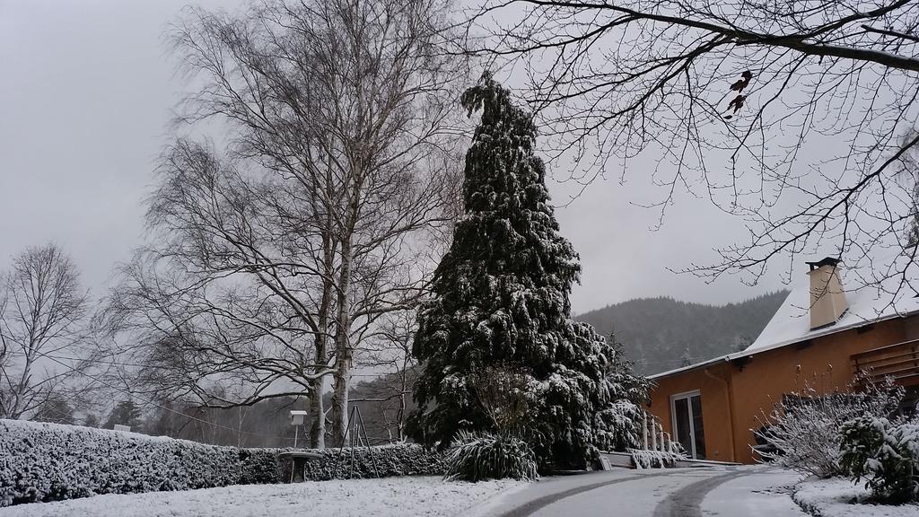 Le Wineck Villa Dambach Dış mekan fotoğraf