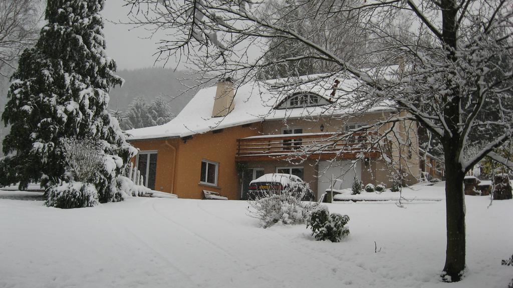 Le Wineck Villa Dambach Dış mekan fotoğraf
