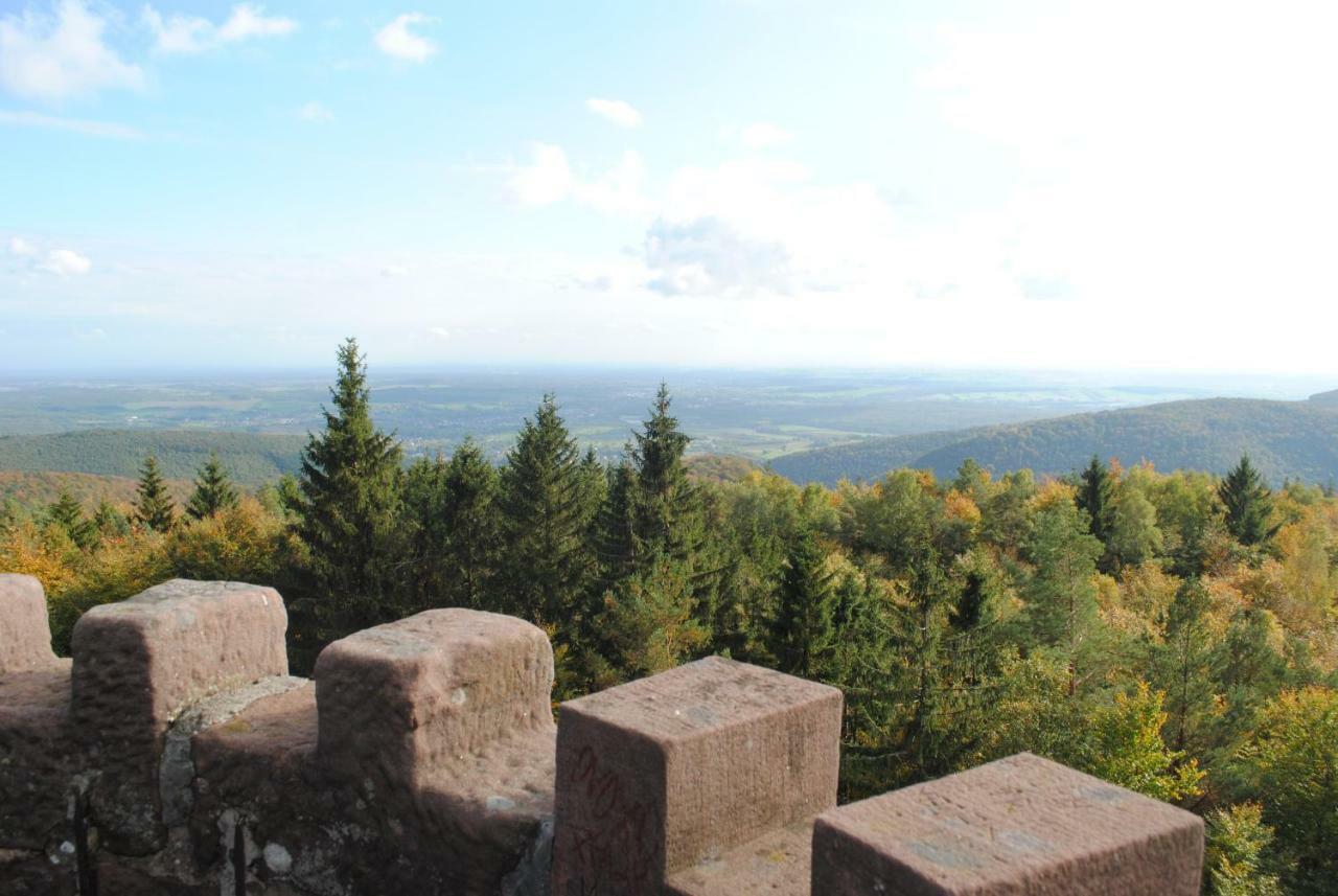 Le Wineck Villa Dambach Dış mekan fotoğraf